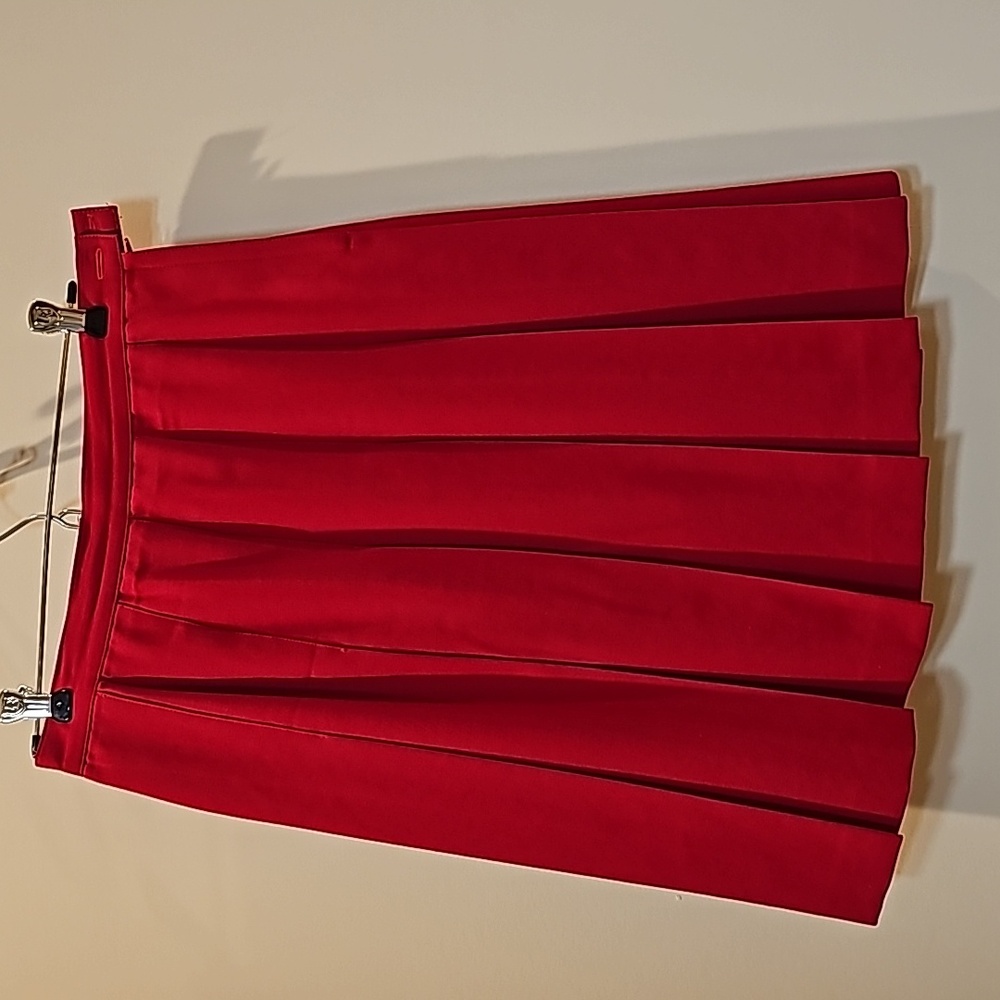 Ladies pleated skirt